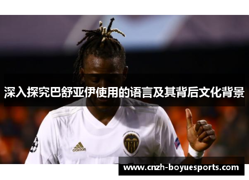 深入探究巴舒亚伊使用的语言及其背后文化背景